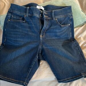 Lane Bryant Classic Blue Jeans